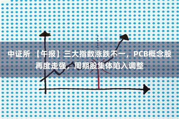 中证所 【午报】三大指数涨跌不一，PCB概念股再度走强，周期股集体陷入调整